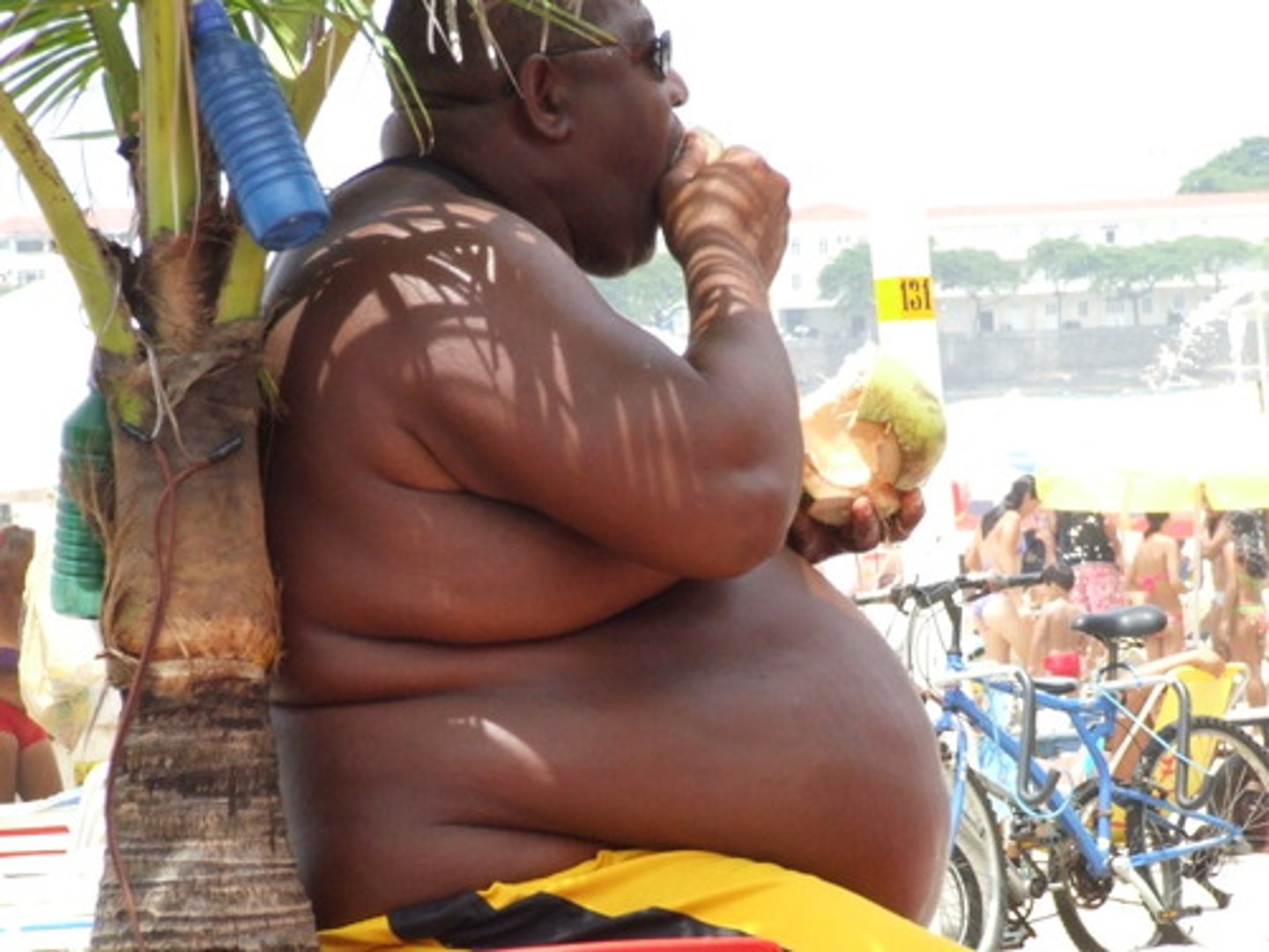 <p>fat</p>