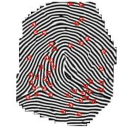 <p>what is marked in this picture?</p>