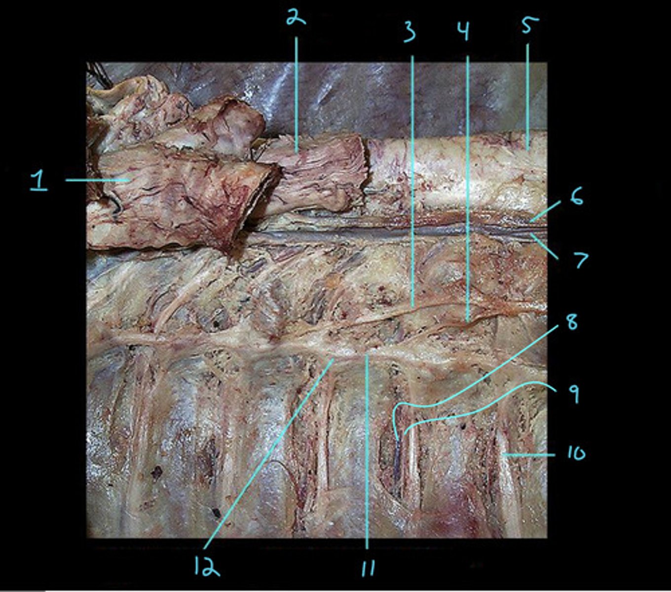 <p>1</p>