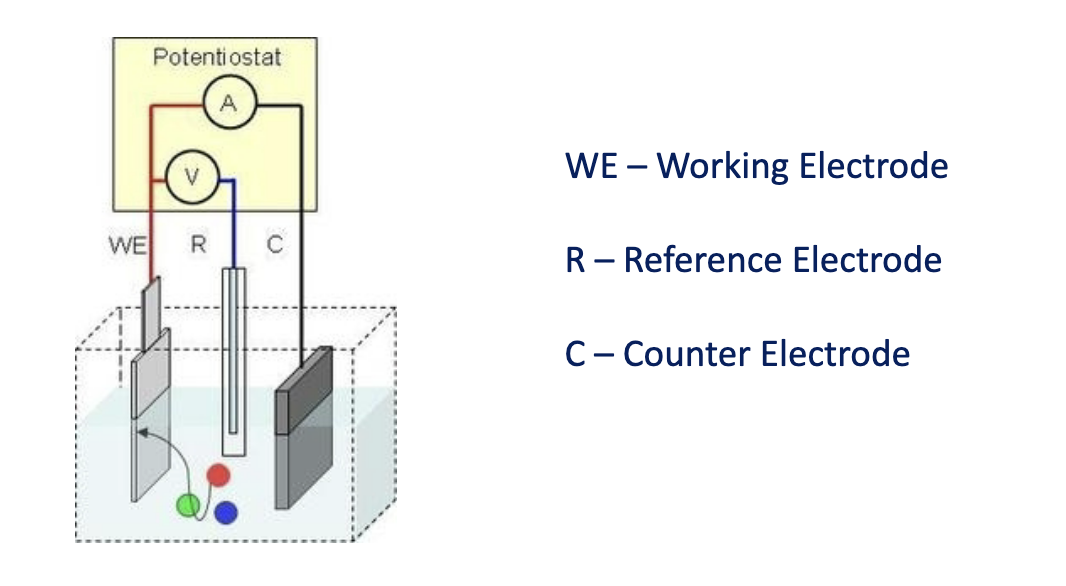 <ul><li><p>Many chemical reactions produce or consume ions or electrons, causing some change in the electrical properties of the solution that can be used as a measuring parameter</p></li><li><p>no electrochemical reactions</p><ul><li><p><strong>Conductometric</strong> - measures conductance (inverse of resistance)</p></li></ul></li></ul><ul><li><p>Electrochemical biosensors with electrochemical reactions.</p><ul><li><p><strong>Potentiometric</strong> - measures changes in potential difference (consumption of ions)</p></li><li><p><strong>Amperometric</strong> - measures current (consumption of electrons)</p></li></ul></li></ul><p></p>