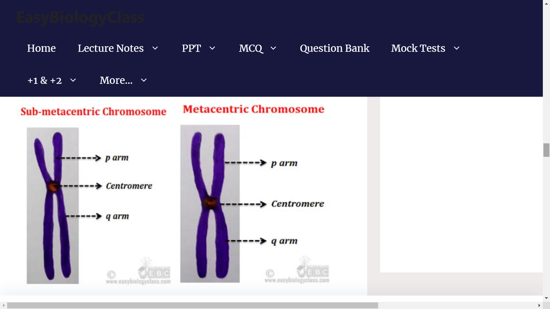 CLASSIFICATION OF CHROMOSOME