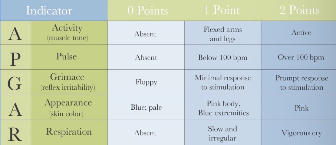 <p>Test used to check vitals of a baby when it’s first born</p>