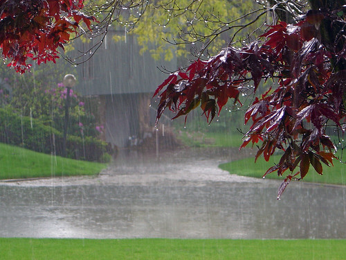 <p>The fancy word for rain, sleet, snow, hail etc</p>