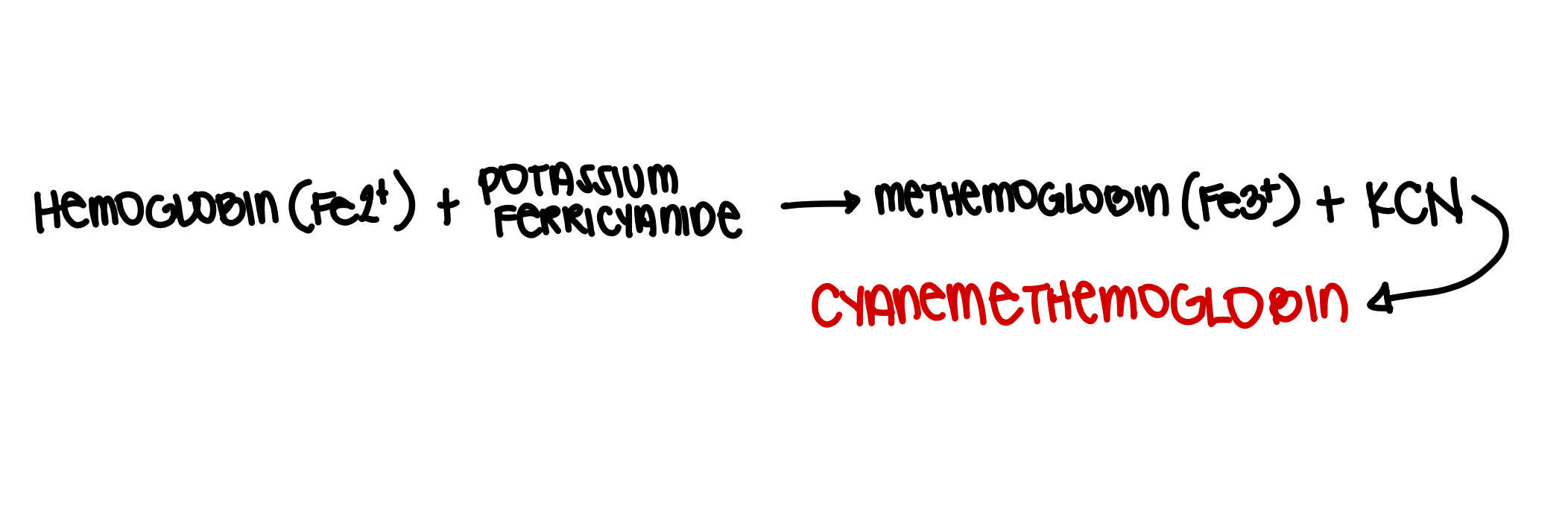 <ul><li><p><strong>It lyses the RBC to release hemoglobin</strong></p><ul><li><p><strong>Potassium Ferricyanide</strong> =<em><sub><sup> oxidizes hemoglobin to methemoglobin (Fe3+)</sup></sub></em></p></li><li><p><strong>Potassium Cyanide</strong> =<em><sub><sup> converts methemoglobin to cyanmethemoglobin</sup></sub></em></p></li></ul></li></ul><p></p>