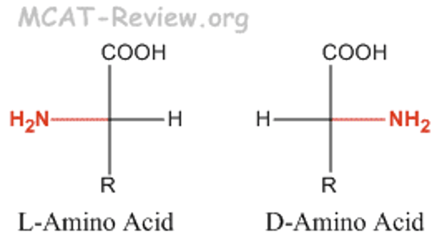 <p>the detailed stereochemical picture of a molecule, including how the atoms are arranged in space</p>