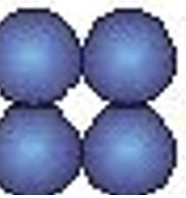 <p><span><span>four cells arranged in a square</span></span></p>