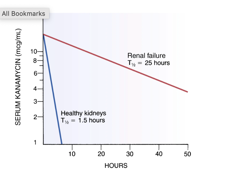 <p>Graph</p>