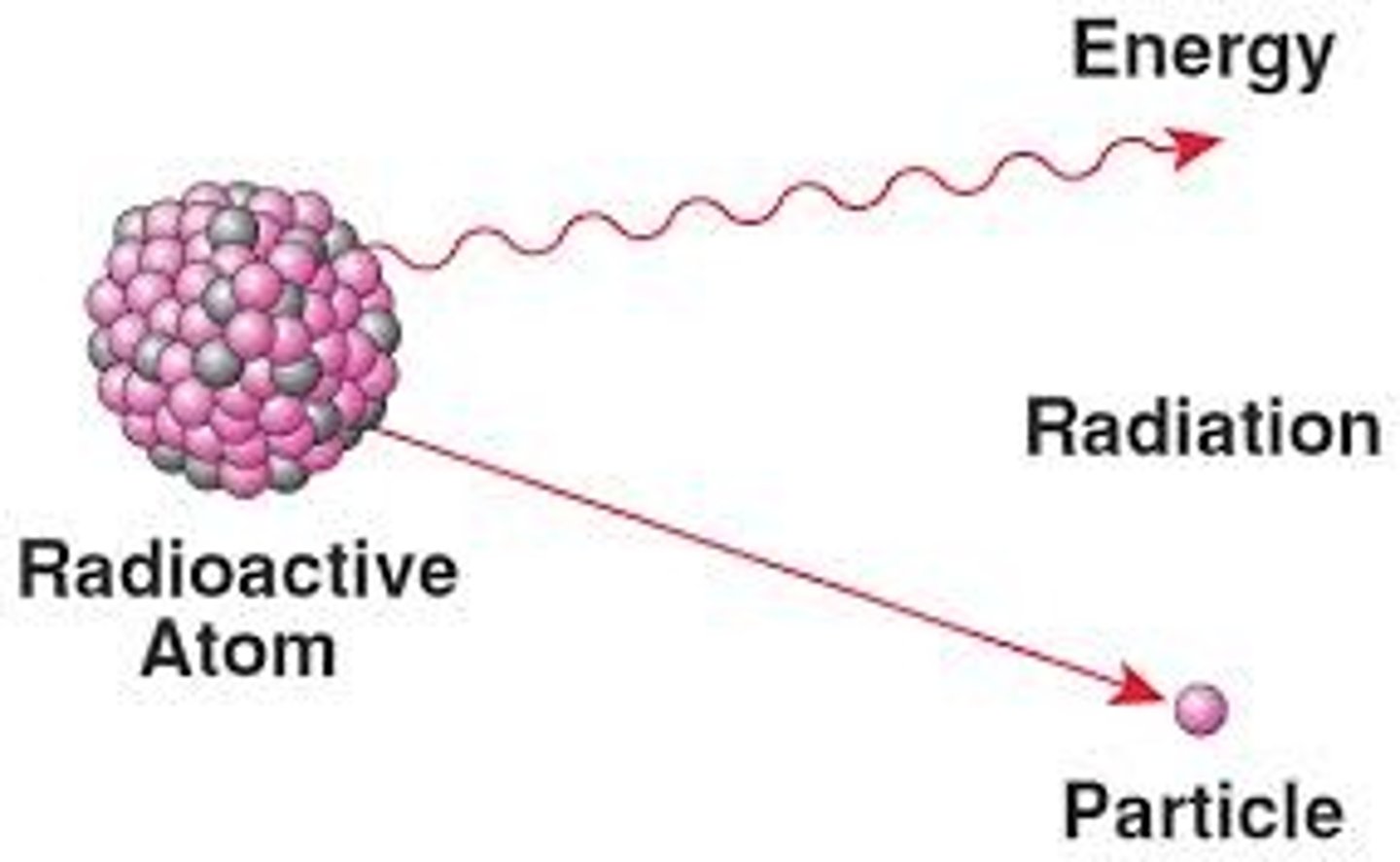 <p>Hershey and Chase relied on radioactive isotopes of phosphorus and sulfur in their experiment to determine that DNA is the genetic material. Although they had been used on a small scale prior, after World War II the U.S. Atomic Energy Commission began mass-producing radioisotopes, sending shipments of radioactive materials to scientists.</p><p>Because they give off energy as they convert to a more stable form, the isotopes allow biologists to track molecules as they move through biological systems.</p>