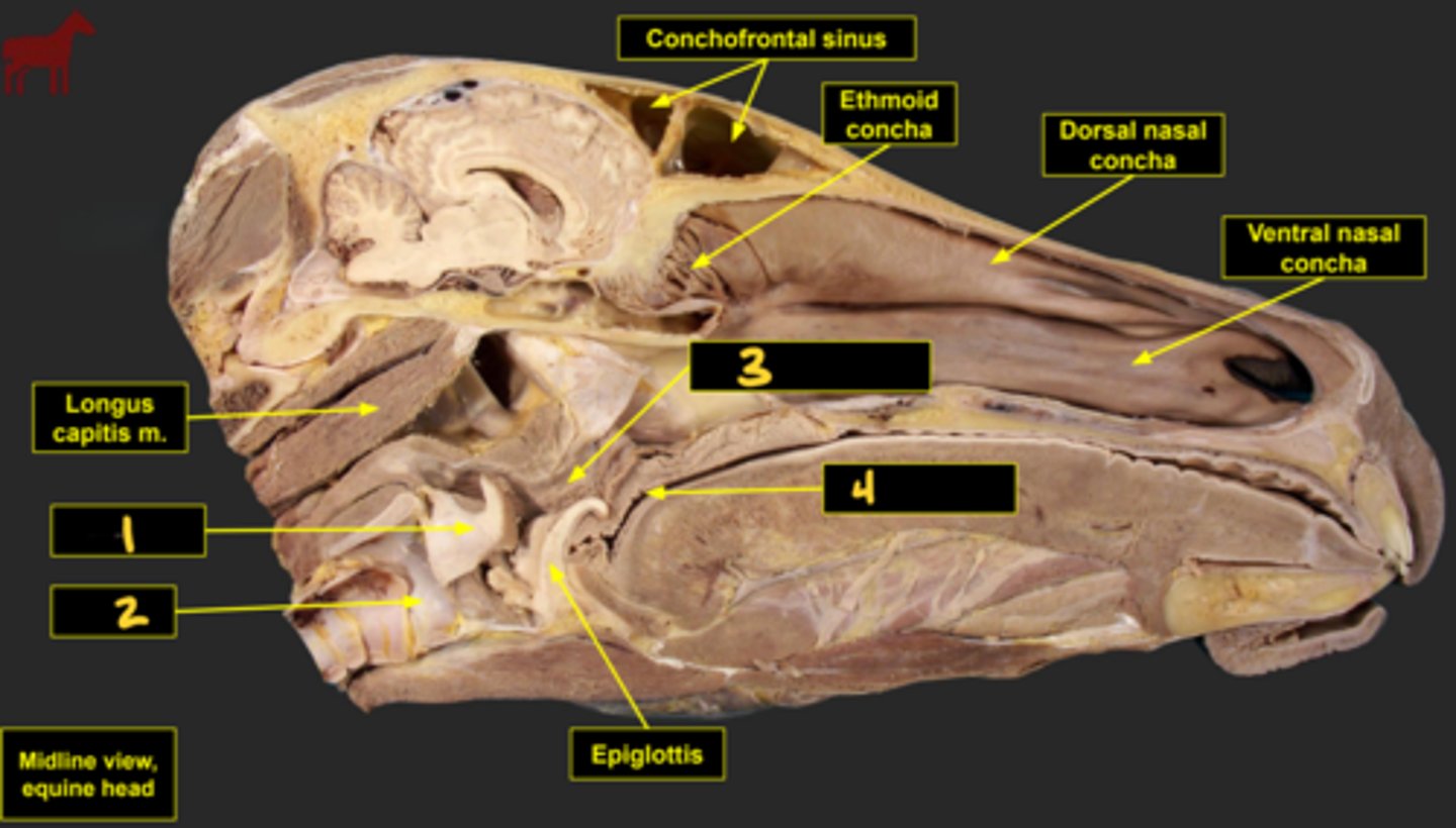 <p>What is number 3?</p>