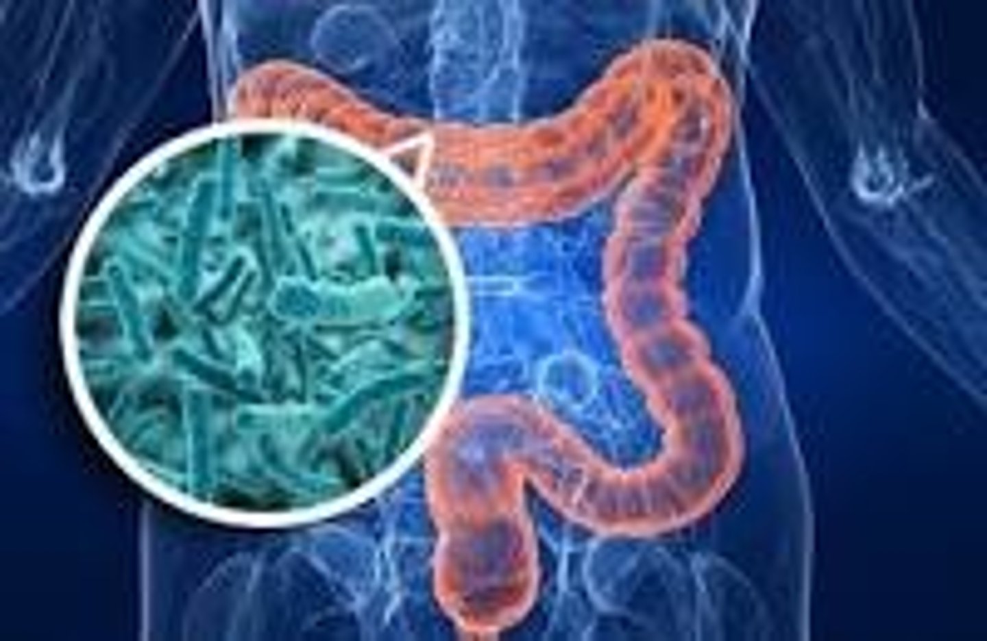 <p>microorganisms that make up a particular area, habitat, or within the body</p>