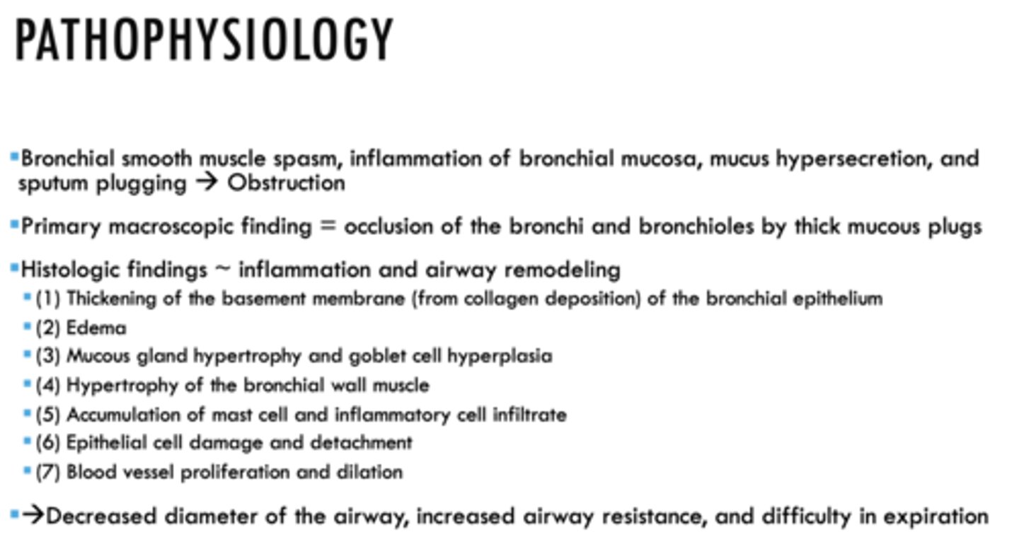 <p>- Bronchial smooth muscle spasm</p><p>- Inflammation of bronchial mucosa</p><p>- Mucus hypersecretion</p><p>- Sputum plugging</p>