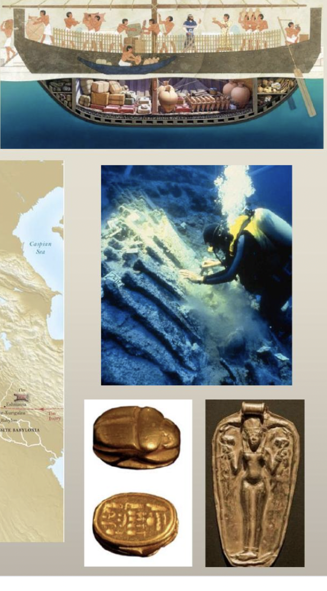 knowt flashcard image