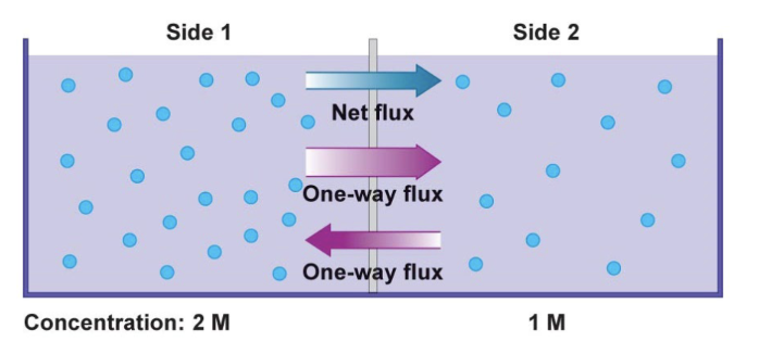 <p>the difference b/w the two one-way fluxes</p>