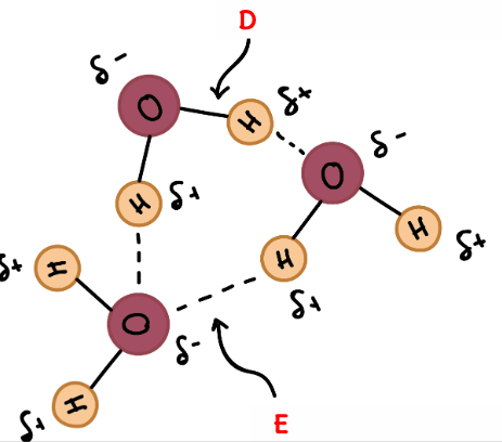 <p>What is E an example of?</p>