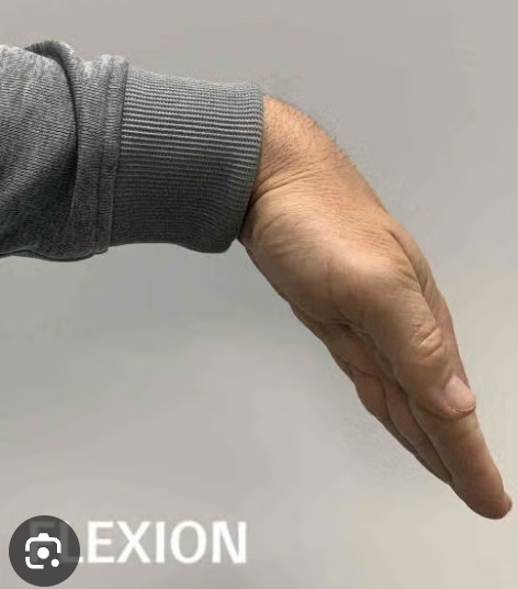 <p>Flexing your wrist forward with your palm facing up, as when handwriting notes or playing the piano.</p>