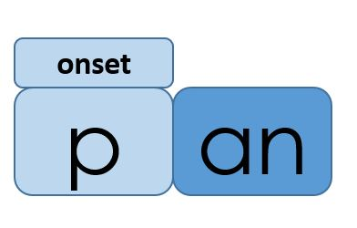 <p>initial consonant</p>