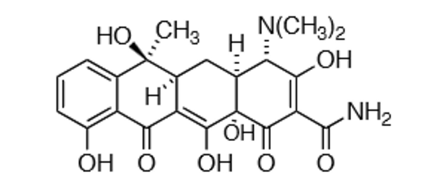 <p>Bind to the 30S ribosomal subunit and inhibit bacterial protein synthesis, mainly at the Tet1 site. Chelating agent, will bind to metal ions, which causes the drug to not get absorbed in the GI tract as well, avoid drinking milk to prevent 50% absorption decrease. broad-spectrum. Do not give to children while forming their permanent teeth (Discoloration occurs, becomes worse with photooxidation). Do not give after 4th month of pregnancy (Fetal bone deformation). Undergoes empirization in acidic conditions, and undergoes dehydration at the tertiary hydroxyl group, forming an inactive and severely nephrotoxic metabolite.</p>