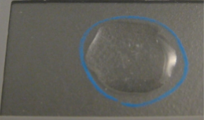 <p>is this catalase result positive or negative?</p>