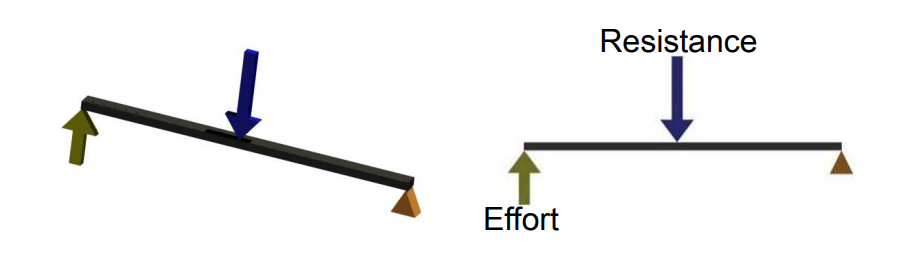 <p>Fulcrum is located at one end of the lever. </p><p>Resistance force is located between the fulcrum and the effort force. </p><p>Resistance force and effort force are in opposing directions.</p><p> Always has a mechanical advantage &gt;1.</p>