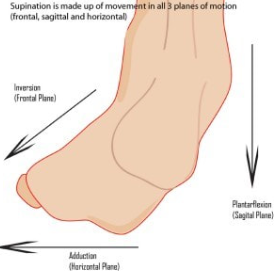 Movement of foot in 3 different planes (frontal, sagittal, and horizontal); inversion, plantarflexion, adduction 
