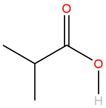 <p>ester </p>