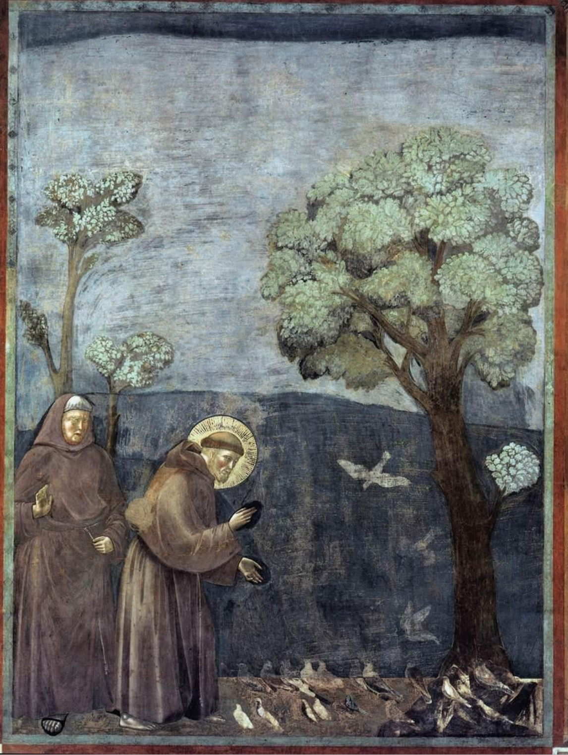 term image