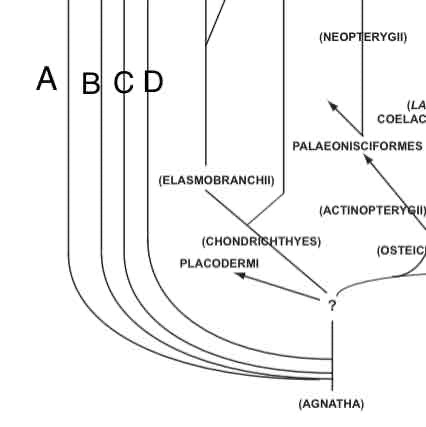 <p>Identify the missing Orders.</p>