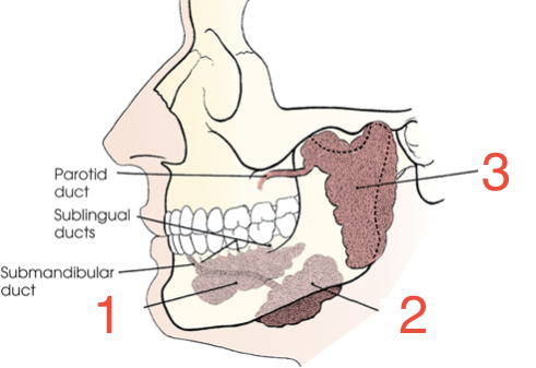 <p>3? </p>