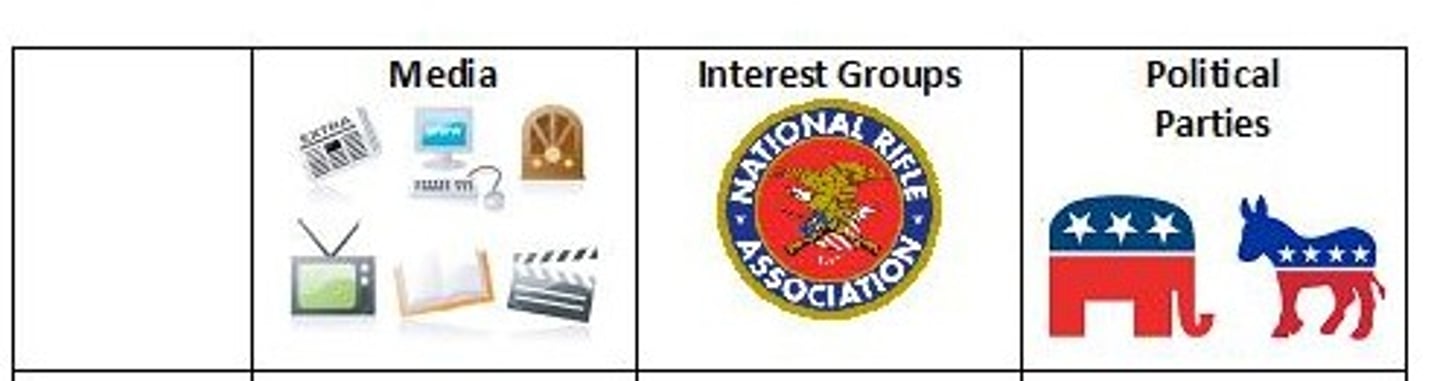 <p>Political parties, interest groups, elections, mass media</p>