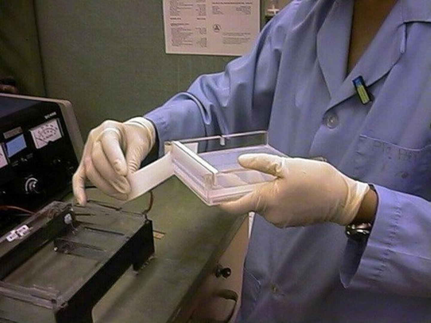 <p>To visualize DNA and determine if restriction enzyme digestion or PCR has worked.</p>