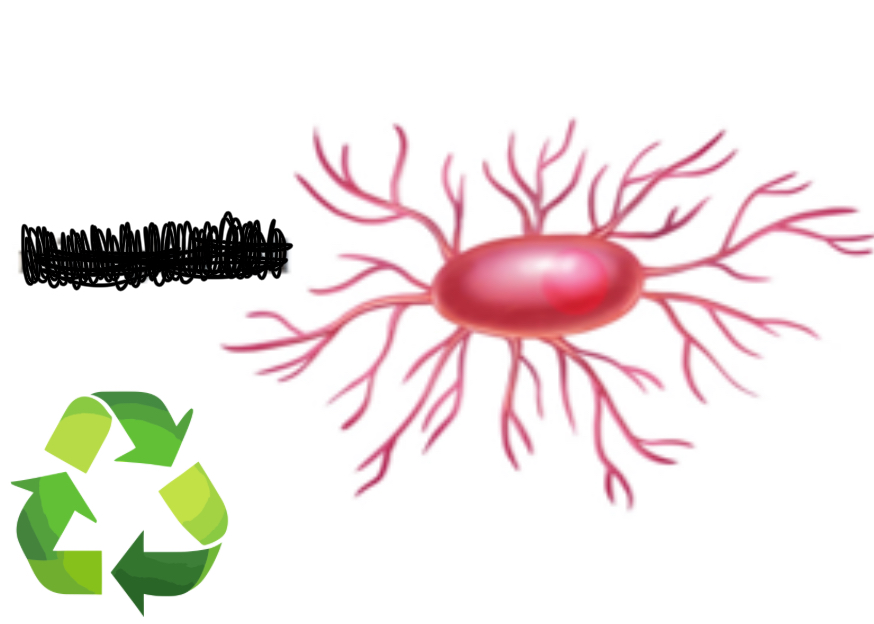 <p>What type of cell is this?</p>
