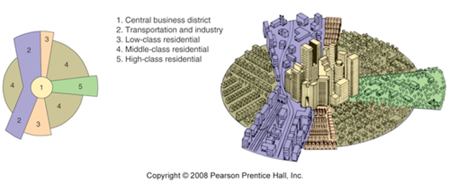 <p>city develops in sectors or wedges radiating out from the CBD, often following transportation corridors (rail/highways)</p>