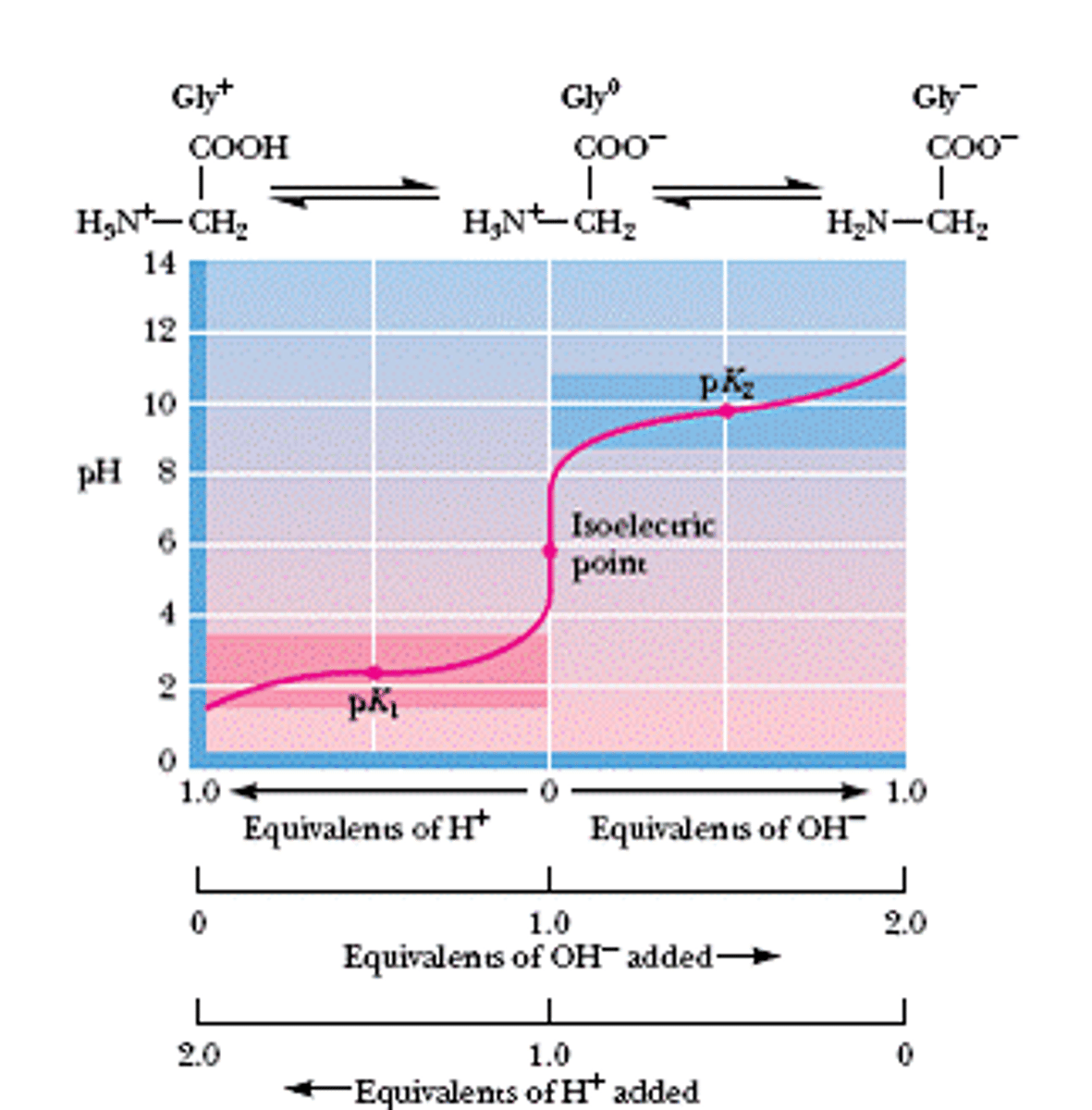 <p>Isoelectric line</p>