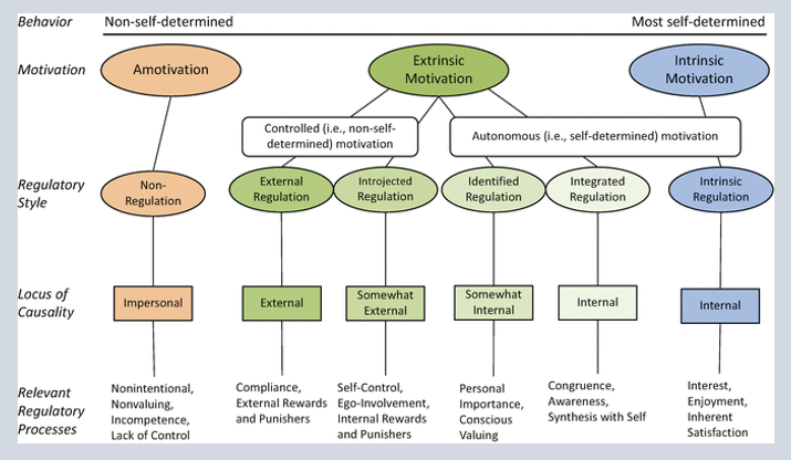 <p>External motivation can be healthy or unhealthy, depending on how it’s regulated. </p>