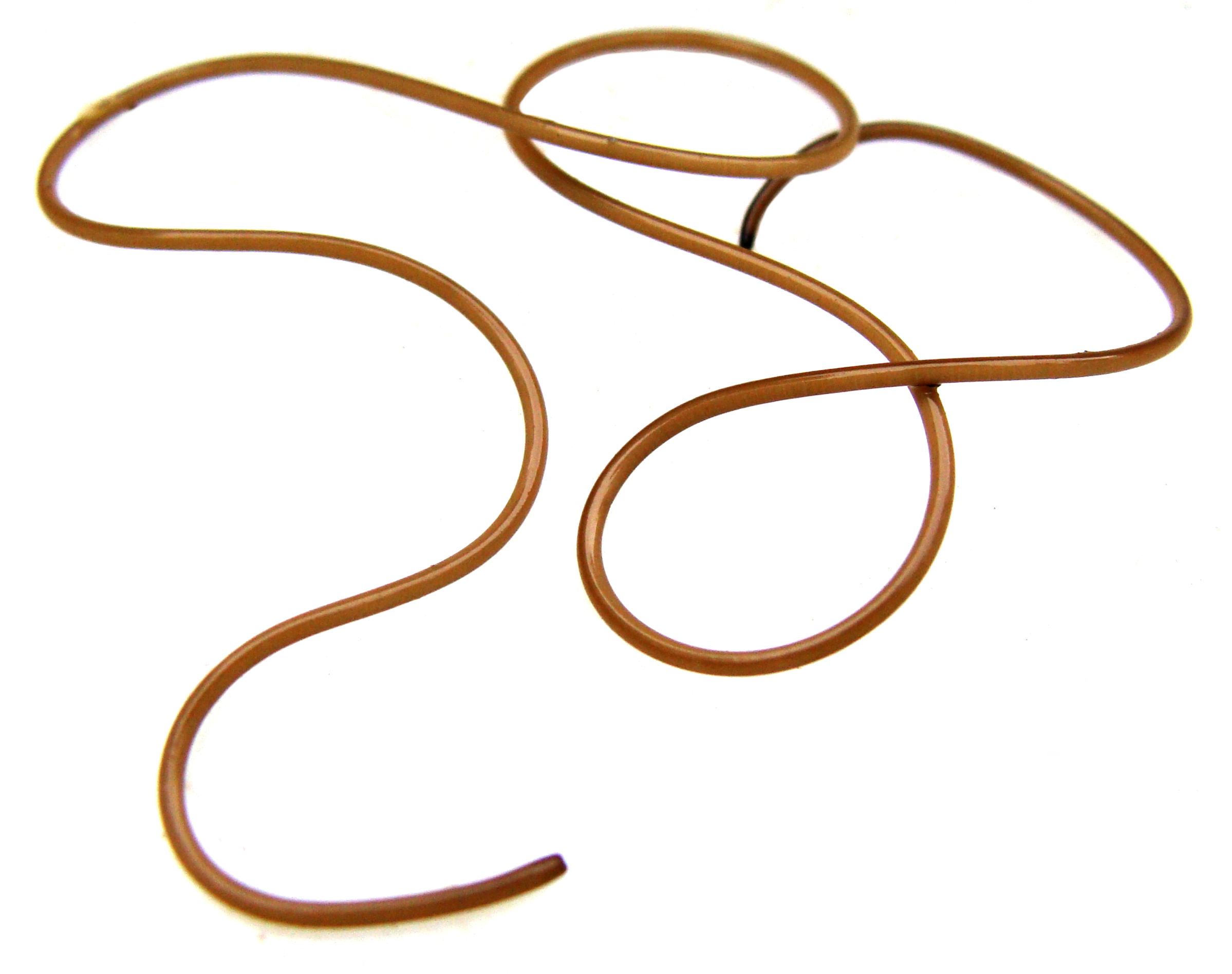 <p>Nematomorpha, jouhimadot</p>