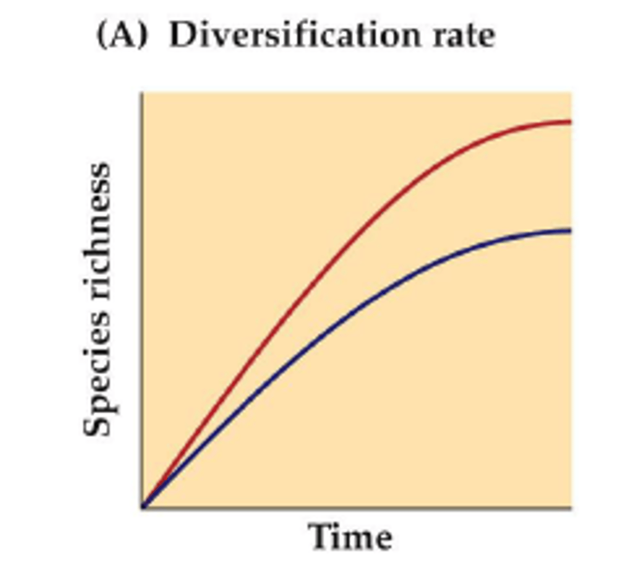 <p>tropics have higher rate of species diversification</p><p>- large land masses and stable climates increase speciation, dec. extinction</p>