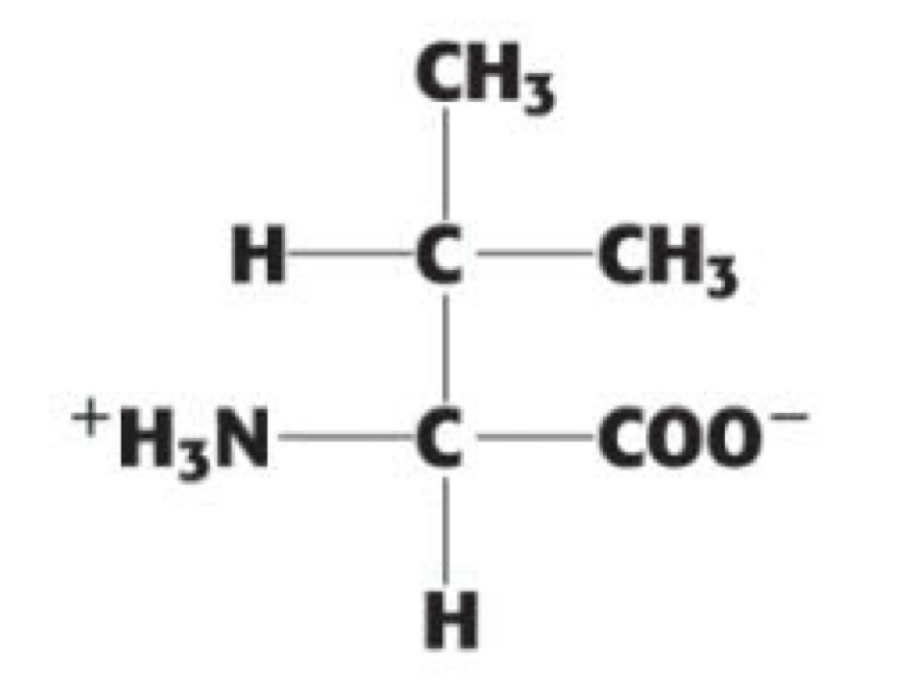<p> (Val, V) non-polar, aliphatic</p>