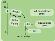 <p>Weak Base with Strong Acid</p>