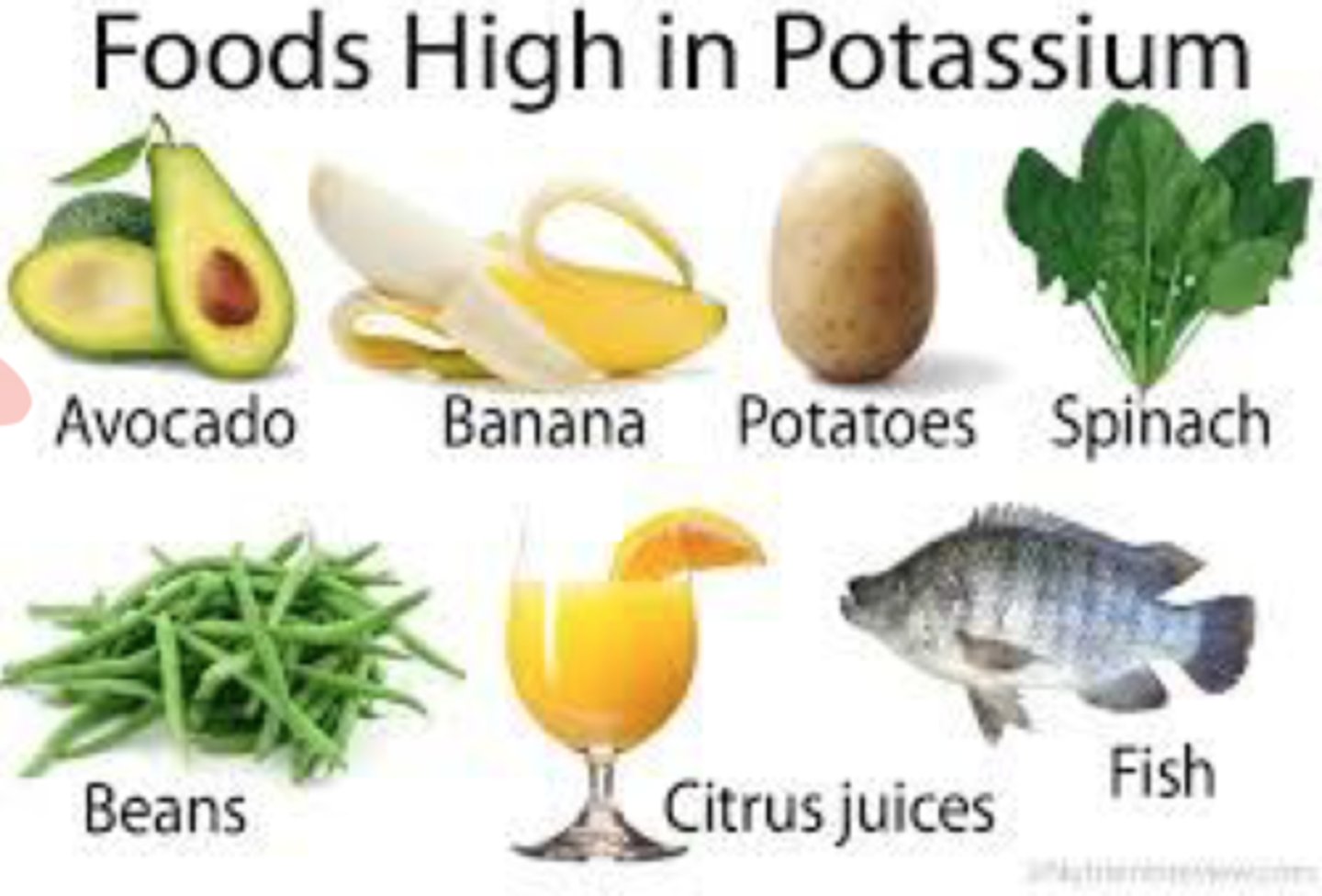 <p>P-plantains(banana), potato w skin, pistachio nuts</p><p>O-oranges</p><p>T-tomato</p><p>A-apricot, avocado</p><p>S-strawberry</p><p>S-Spinach</p><p>I Iceberg lettuce-green leafy vegetables spinach, swiss chard</p><p>U-ugli fruit</p><p>M-mango</p><p>A-avocado, apricots. </p><p>B-beans, white; beets, bell peppers, broccoli</p><p>C-citrus, chard swiss. cantaloupe, chocolate</p><p>D-dried fruits (dates, prunes, raisins, figs), dew honey melon,</p>
