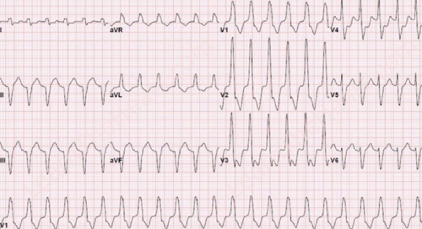 <p>What are the findings</p>