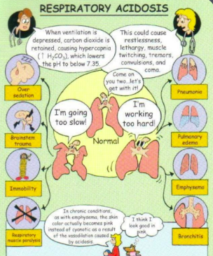 <p>Common cause: COPD/severe respiratory conditions (CO2 retainers) → will likely to breathe 30-40 but will still show respiratory acidosis bc of impaired alveoli (air trapping), narcotics (respiratory depression), obesity (not getting all air out → increase hypercapnic levels), severe pneumonia, ateltectasis, respiratory muscle weakness</p>