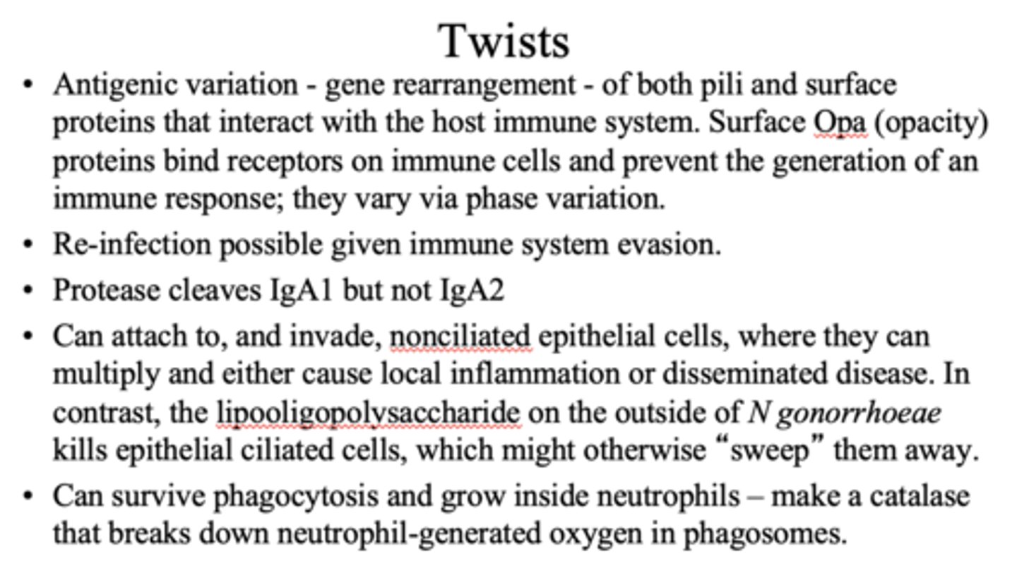 <p>false, re-infection prossible</p>