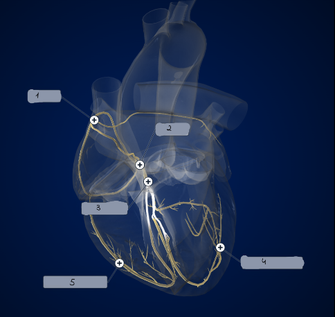 <p>3</p>