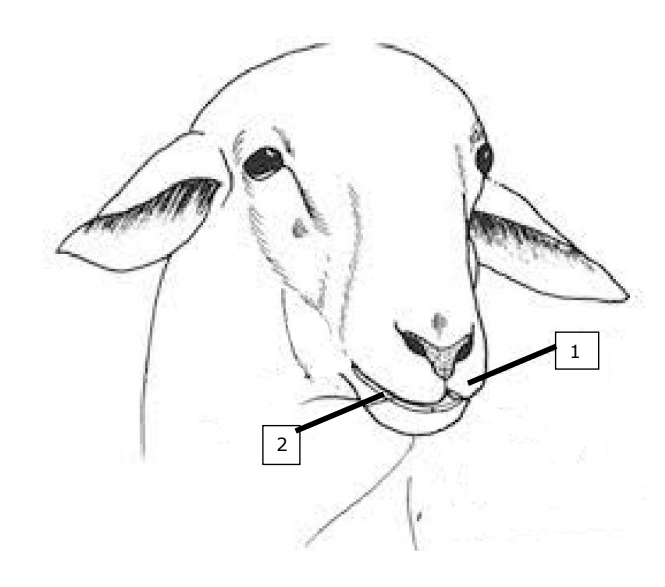 <p>1</p>