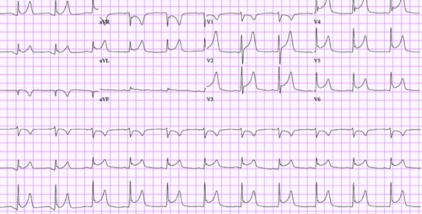 <p>What are the findings</p>