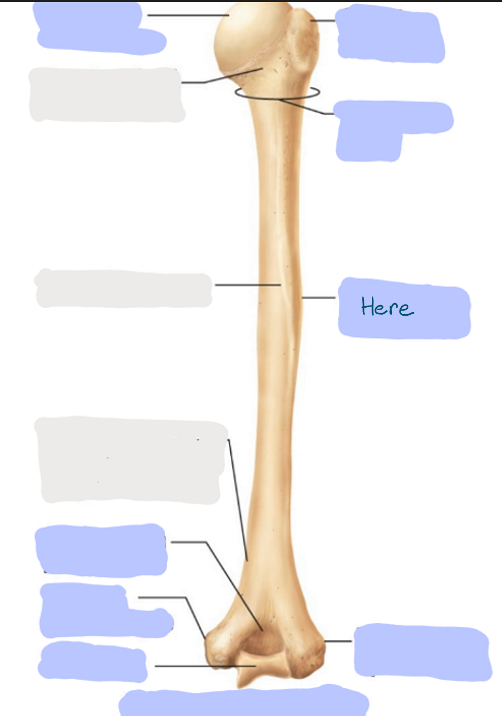 <p>What is here?</p>