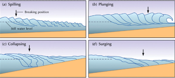 <p>spilling → flat surface</p><p>plunging → deep to shallow</p><p>collapsing</p><p>surging → surge up steep beach</p>