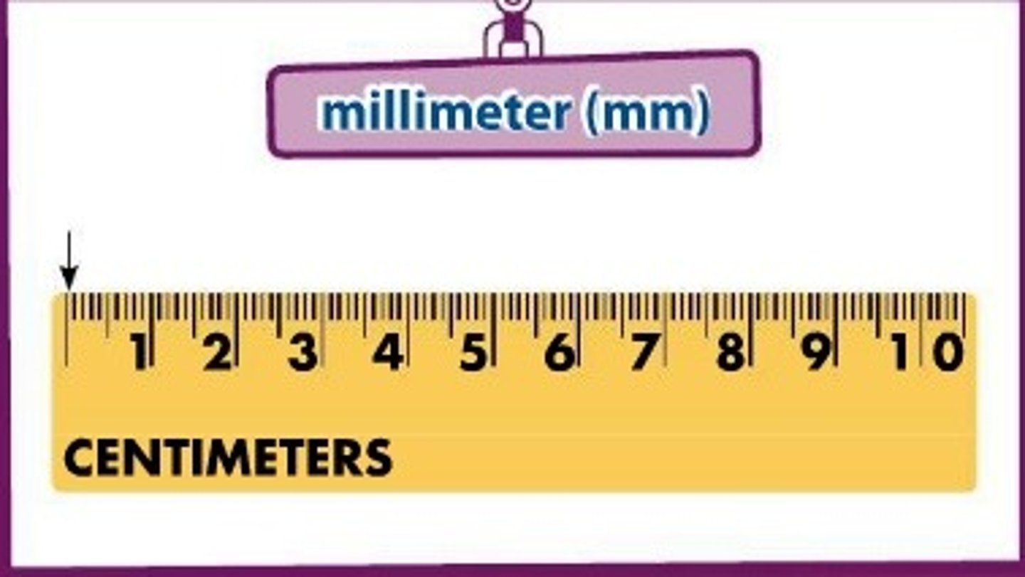 <p>milimet</p>
