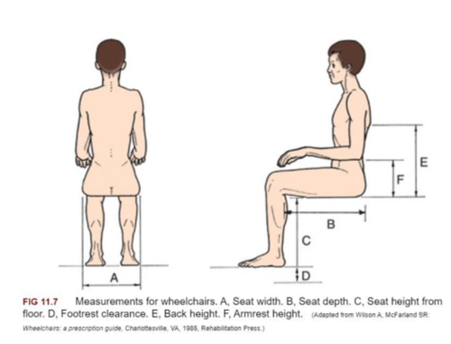 <p>how to measure</p><p>-- heel to popliteal fold (plus 2 inches)</p><p>average measure</p><p>-- 19.5-20.5 inches</p>