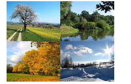 <p><strong>Enviornmental and Social Conditions that _______</strong></p><ul><li><p><span style="color: blue;"><strong>Season of Birth&nbsp;</strong></span></p></li><li><p><span style="color: blue;"><strong>Social Cues from Males</strong></span></p></li><li><p><span style="color: blue;"><strong>Size of Social Group&nbsp;</strong></span></p></li></ul><p></p>